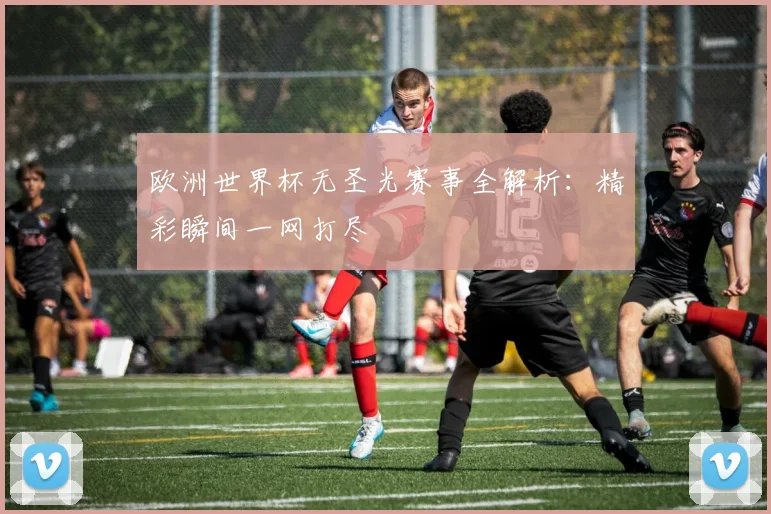欧洲世界杯无圣光赛事全解析:精彩瞬间一网打尽