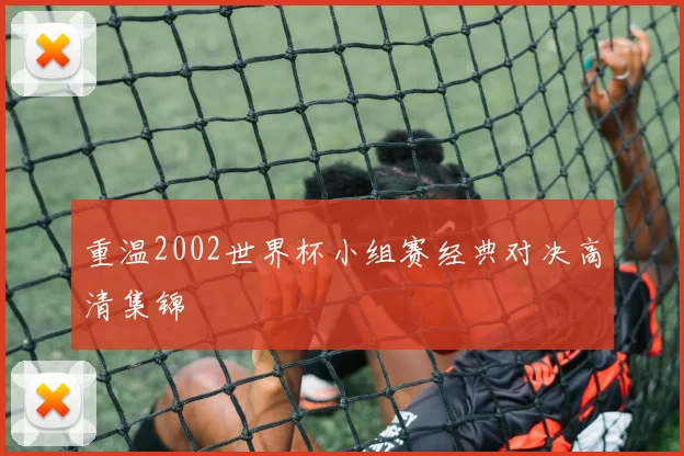 重温2002世界杯小组赛经典对决高清集锦