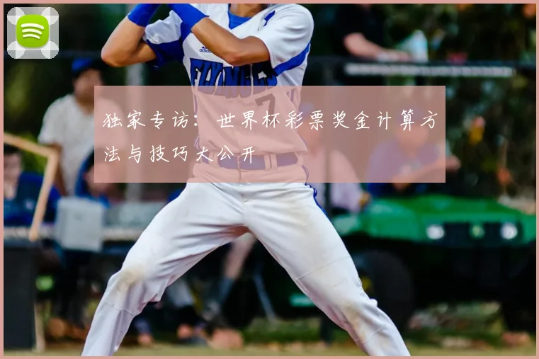 独家专访：世界杯彩票奖金计算方法与技巧大公开