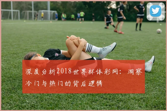 深度分析2018世界杯体彩网：洞察冷门与热门的背后逻辑