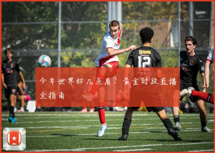 今年世界杯几点看？黄金时段直播全指南