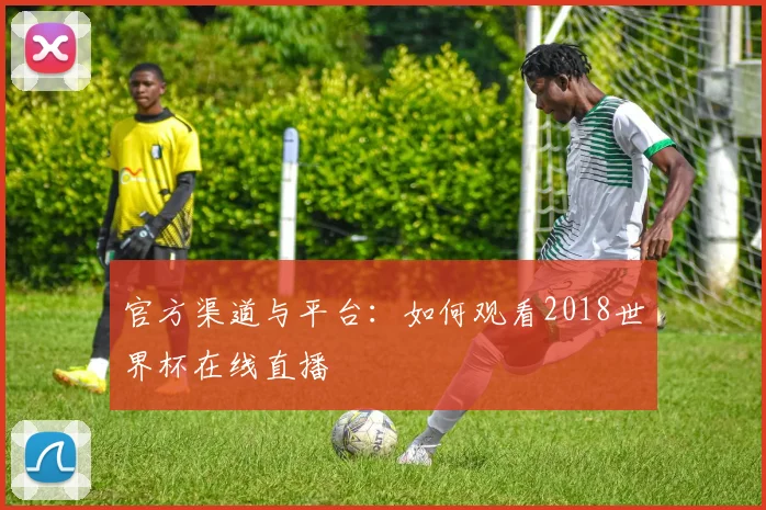 官方渠道与平台：如何观看2018世界杯在线直播