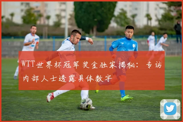 WTT世界杯冠军奖金独家揭秘：专访内部人士透露具体数字