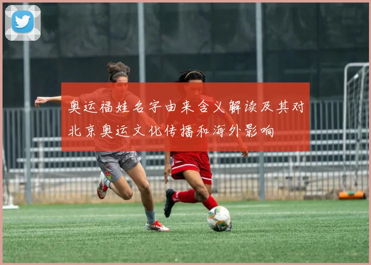奥运福娃名字由来含义解读及其对北京奥运文化传播和海外影响